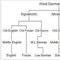 Klassificering av moderna germanska språk Huvuddragen i den germanska gruppen av språk