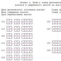 Ֆիզիկական, իրավաբանական և ձեռնարկատերերի համար անձնական եկամտահարկի վճարման ժամկետներ Անձնական եկամտահարկի տարվա հաշվարկ և պահում