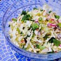 Chinakohlsalat mit Tomaten und Gurken