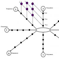 Kelas master menggunakan teknologi alat didaktik multidimensi Teknologi multidimensi di sekolah dasar