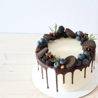 Chocolate dipped cakes: recipes with photos and videos