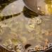 শীতের জন্য সবচেয়ে সুস্বাদু স্কোয়াশ ক্যাভিয়ার - জুচিনি ক্যাভিয়ারের সেরা রেসিপি